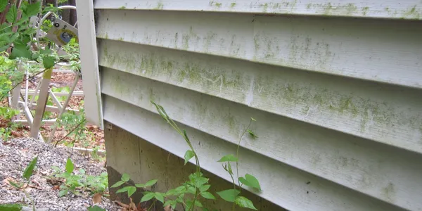 Clean exterior of a Tampa Bay home protected by a gutter system